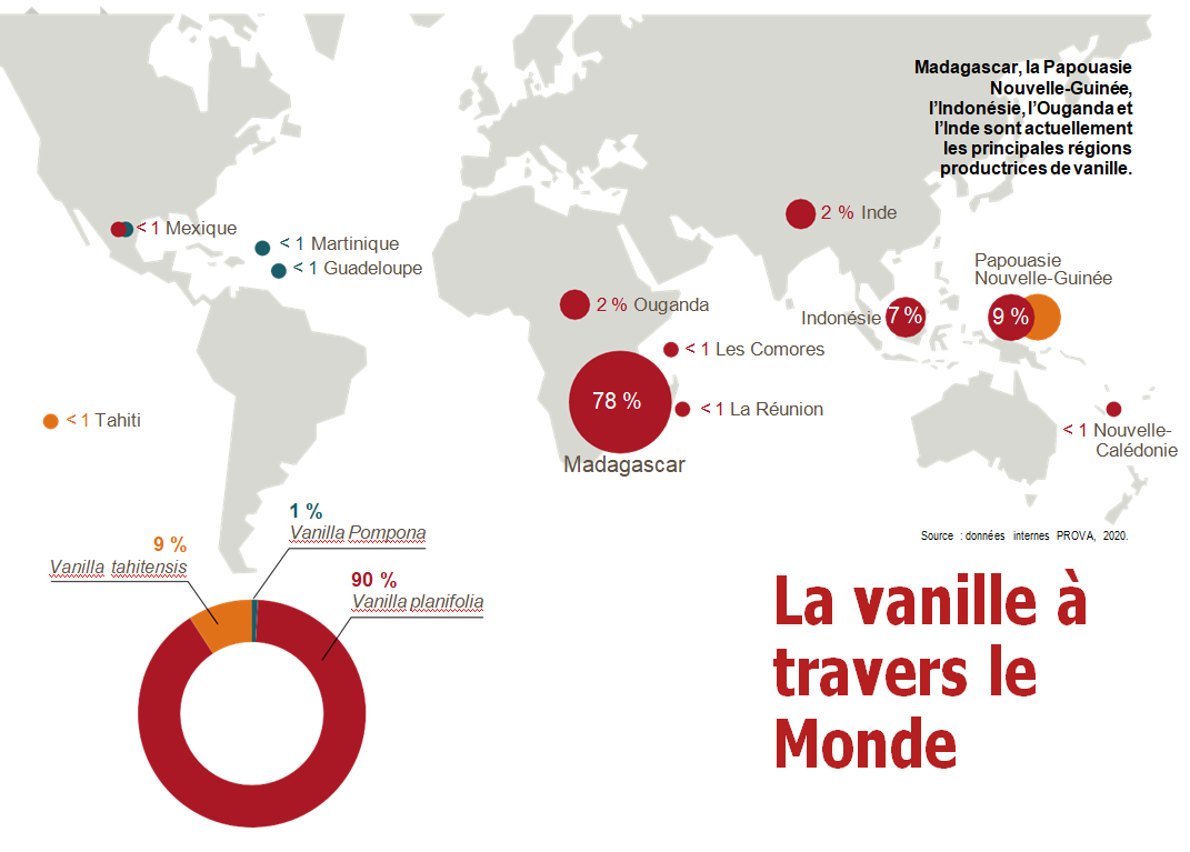 La production de vanille dans le monde